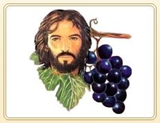 Jesus the Real Vine Charismatic Prayer Group (English)