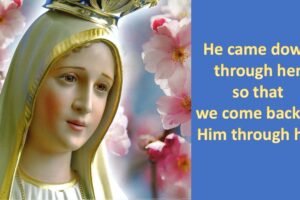 556023409_1179562137552226_2171803706625452124_n